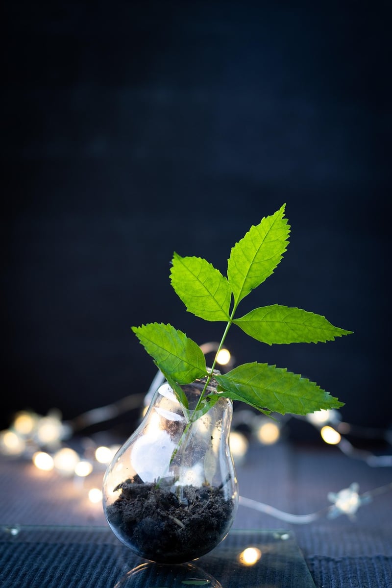 Recycled DIY Innovations